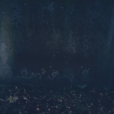 ghostly variations