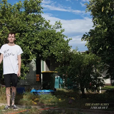I Freak Out by The Hard Aches - album cover