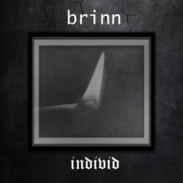 Brinn by individ - album cover