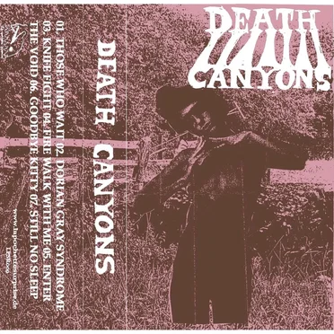 Death Canyons II by Death Canyons - album cover
