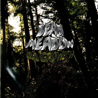 Old Growth by Dead Meadow - album cover