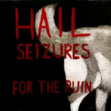 For the Ruin by Hail Seizures - album cover