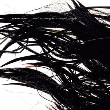 I Won't Cry (Song for a Stranded Mergirl)