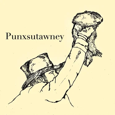 punxsutawney by Punxsutawney - album cover