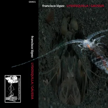 Lysiosquilla Gaussia