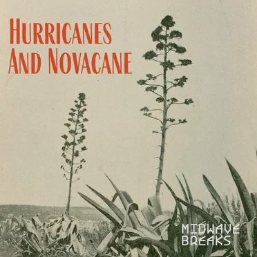 Hurricanes And Novacane
