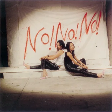 No! No! No Star 2000 by Seagull Screaming Kiss Her Kiss Her - album cover
