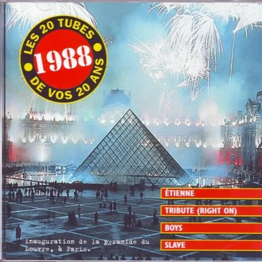 Les 20 Tubes de vos 20 ans : 1988 by Various Artists - album cover