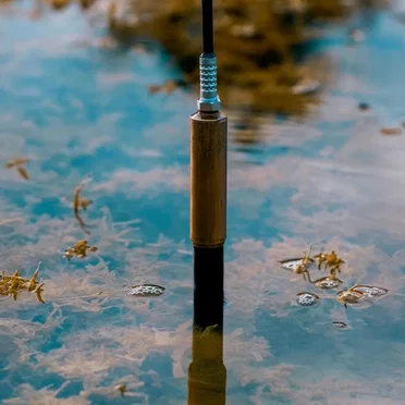 Photosynthesis in a Pond