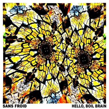 Hello, Boil Brain by Sans Froid - album cover