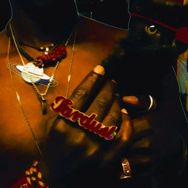 The Inevitable Rise and Liberation of NiggyTardust!