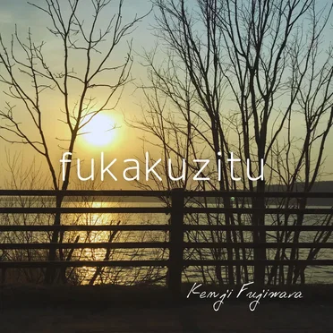 fukakuzitu by Kenji Fujiwara - album cover