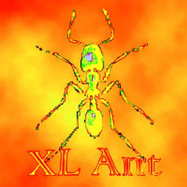 XL Ant