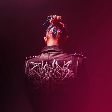 Zucker by KAAS - album cover