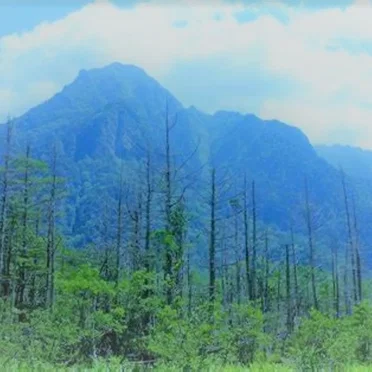 white cloud on the mountain