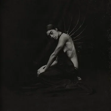 Portrait of a Lady on Fire