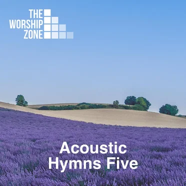 Acoustic Hymns 5 by The Worship Zone - album cover