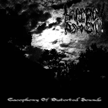 Cacophony Of Distorted Sounds