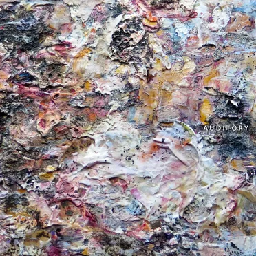 Auditory by Various Artists - album cover