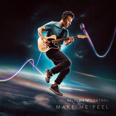 Make Me Feel by Wildlife Control - album cover