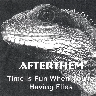Time Is Fun When You're Having Flies by Afterthem - album cover
