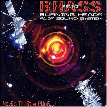 Never Trust a Punk... by BHASS Project - album cover