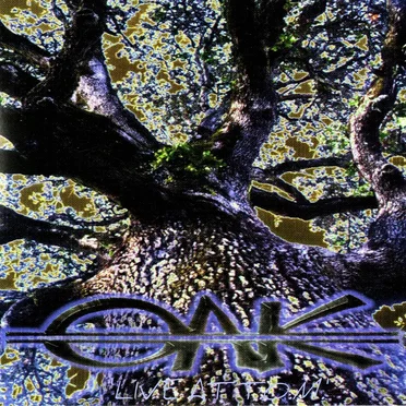 Live at T.O.M. by Oak - album cover