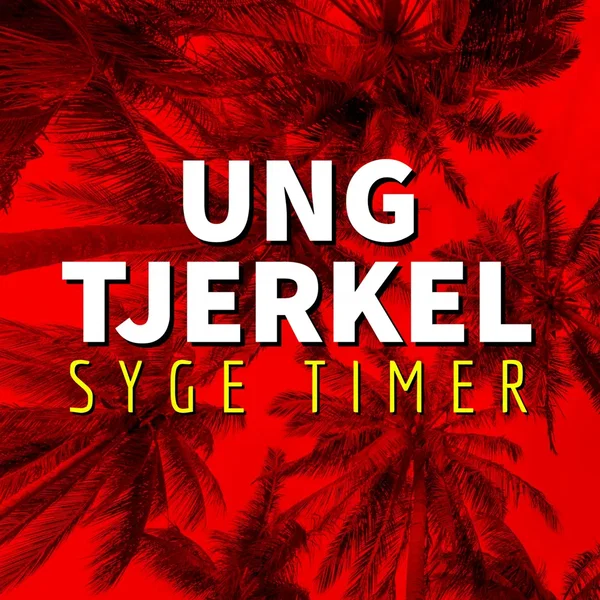 Syge Timer