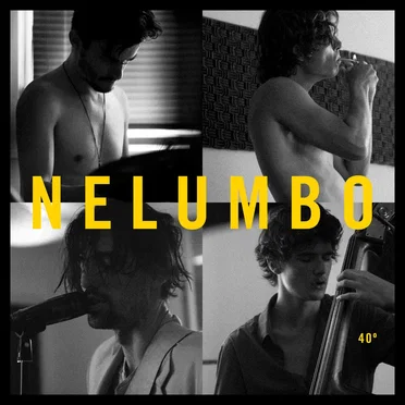 Nelumbo