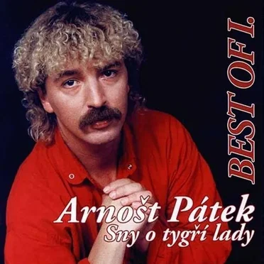 Best Of I. / Sny O Tygří Lady by Arnošt Pátek - album cover