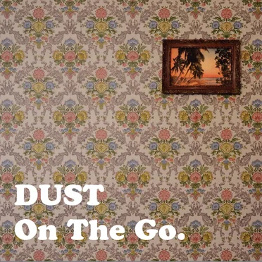 Dust