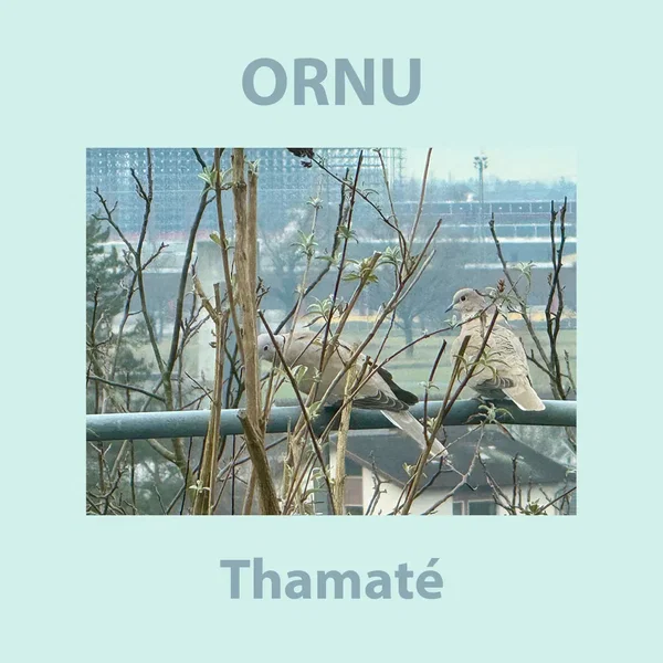 Thamaté