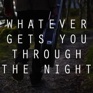 Whatever Gets You Through the Night by Various Artists - album cover