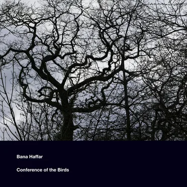 Conference of the Birds