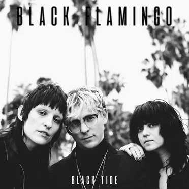 Black Tide by Black Flamingo - album cover