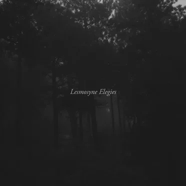 Lesmosyne Elegies by Reagan Fabry - album cover