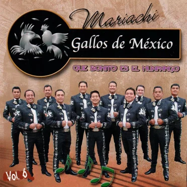 Que Bonito Es el Huapango, Vol. 6