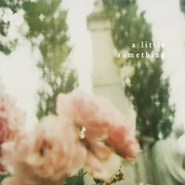 a little something by Various Artists - album cover