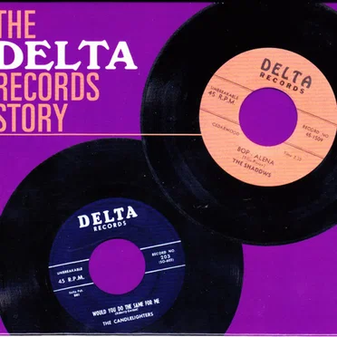 The Delta Records Story by Various Artists - album cover