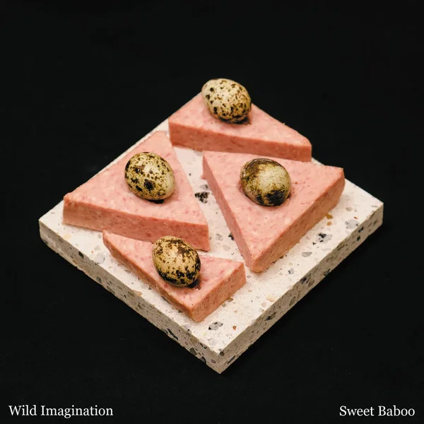 Wild Imagination