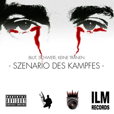 Szenario des Kampfes by MurdocH - album cover