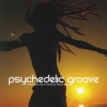Psychedelic Groove - Stunning Goa and Progressive Trance, Vol. 1 by Various Artists - album cover