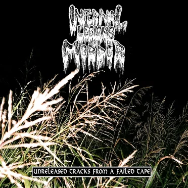 Unreleased Tracks From a Failed Tape by Infernal Legions of Mordor - album cover