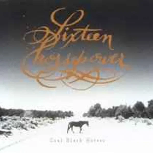 Coal Black Horses