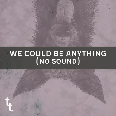 We Could Be Anything (no sound) by terrible thieves - album cover