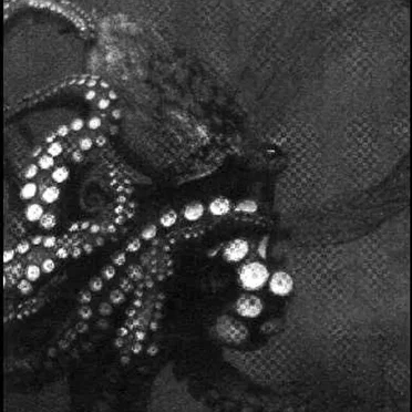 Echoes from Primitive Eons