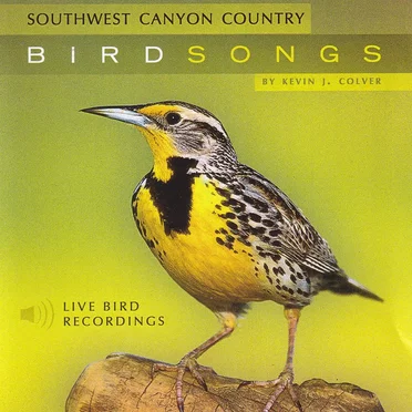 Songbirds of the Southwest Canyon Country by Kevin J. Colver - album cover