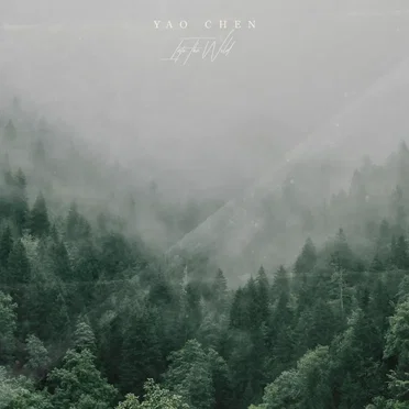 Into the Wild by Yao Chen - album cover