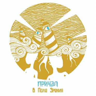 В поле зрения
