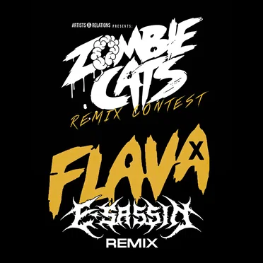 Flava (E-Sassin remix)
